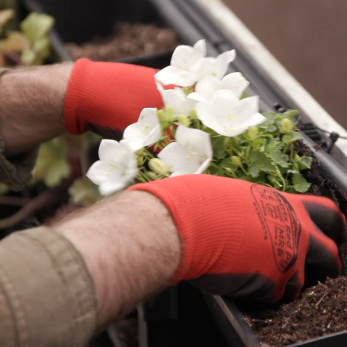 PlantBox Living Wall Planters – Create Your Own Vertical Garden