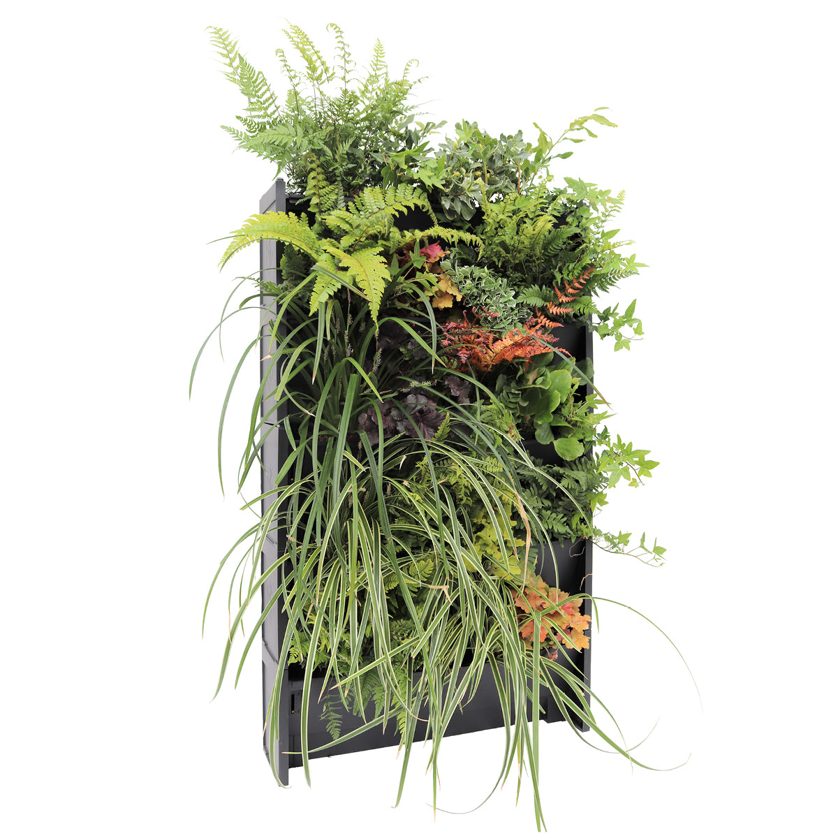 PlantBox Living Wall Planters – Create Your Own Vertical Garden