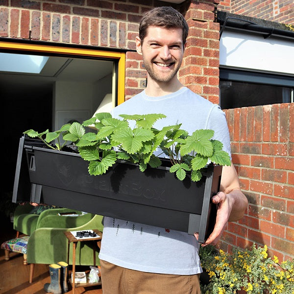 PlantBox Living Wall Planters – Create Your Own Vertical Garden