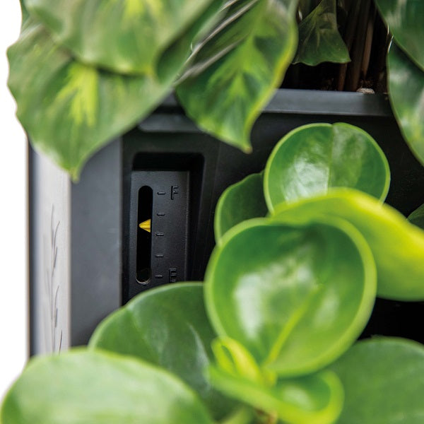 PlantBox Living Wall Planters – Create Your Own Vertical Garden