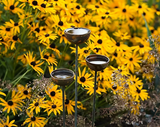 Fig Tree Metal Rain Catchers – Handcrafted Rustic Garden Bird Bath Stakes