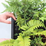 PlantBox Living Wall Planters – Create Your Own Vertical Garden
