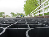 EcoGrid S50 Gravel Grid 50mm – Equestrian Paddock & Yard Stabilisation, Permeable Paving, 20yr Guarantee