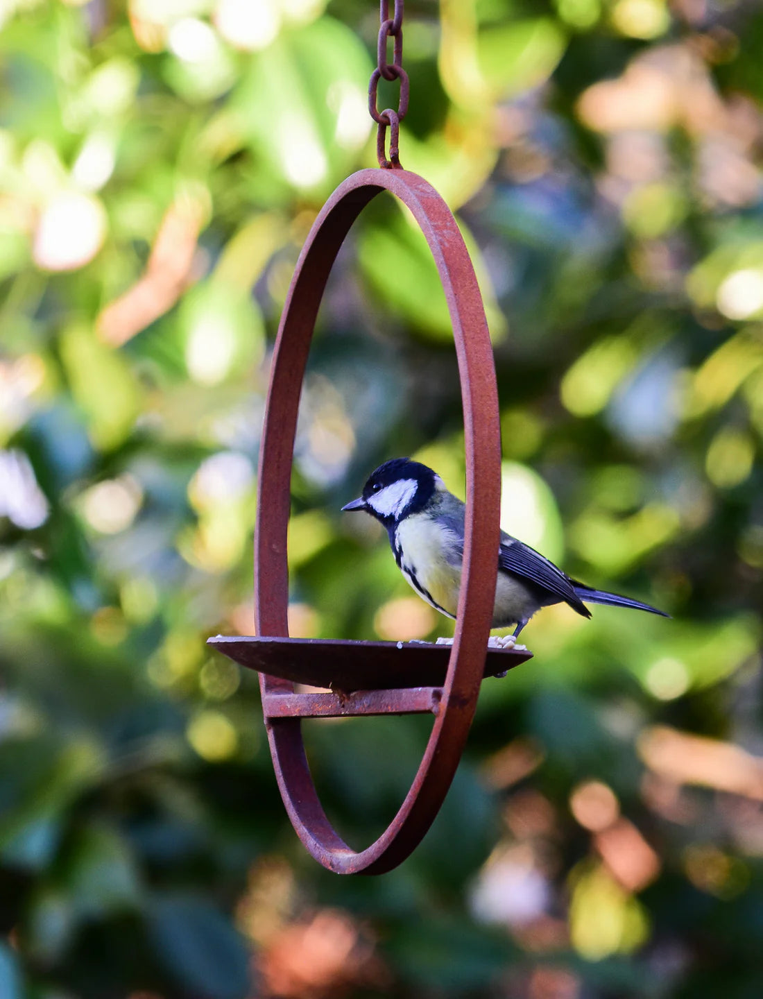 Hanging Bird Feeders