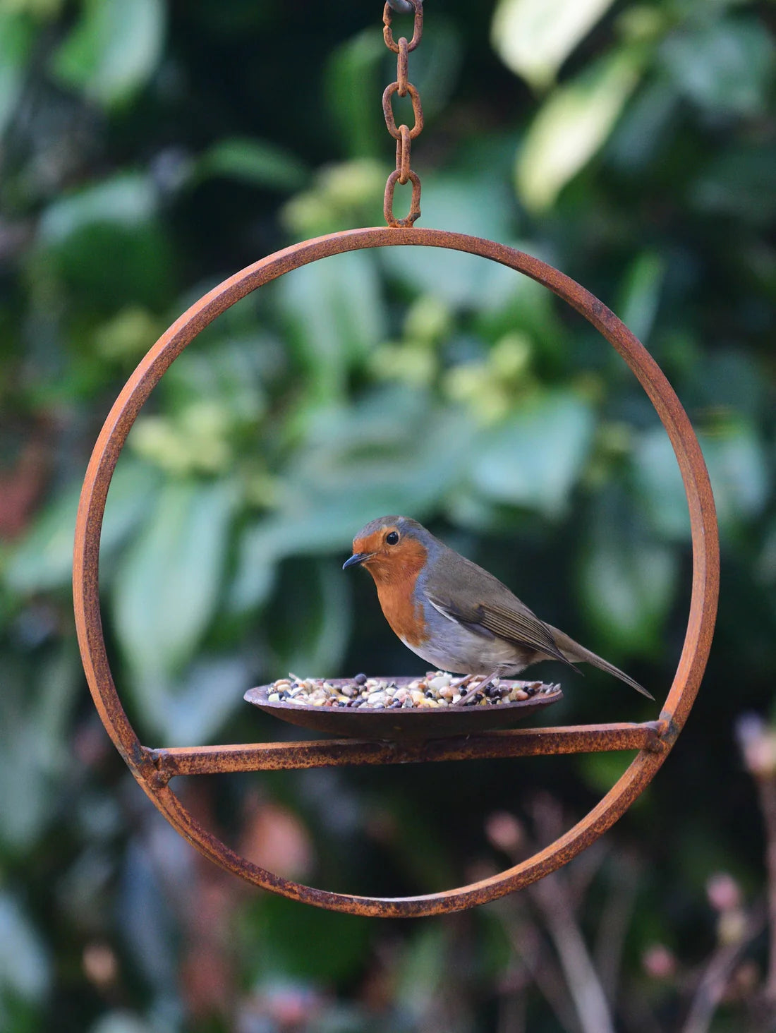 Hanging Bird Feeders