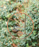 Hanging Bird Feeders