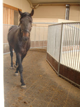 EcoGrid E40 XXL Permeable Paving Grid – Heavy Duty Ground Stabilisation for Driveways & Equestrian Use | 20 Year Guarantee