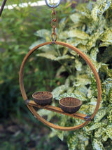 Hanging Bird Feeders