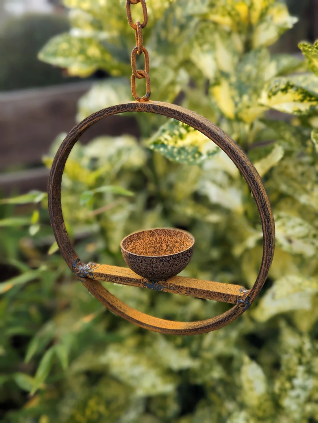 Hanging Bird Feeders