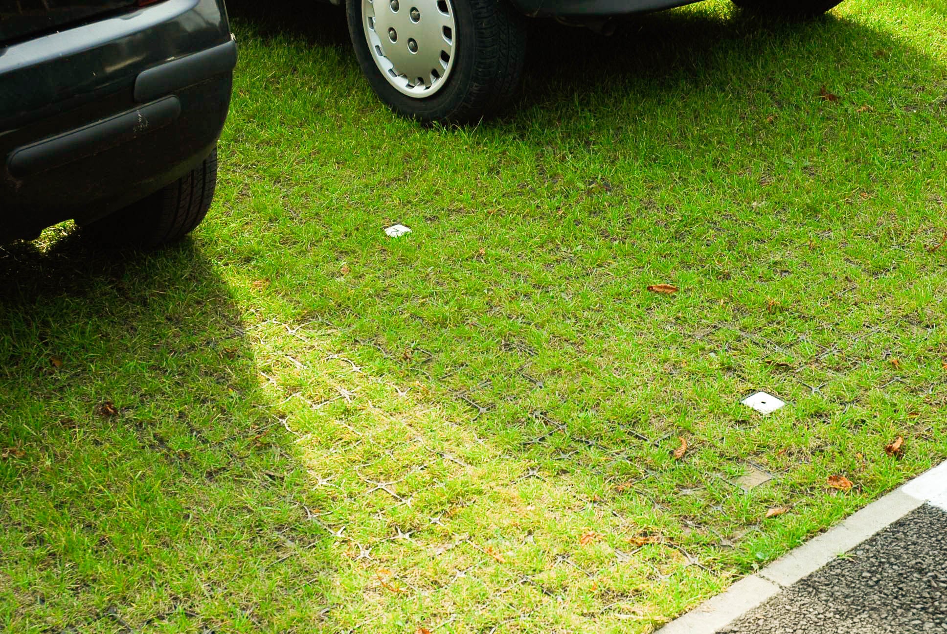 EcoGrid Gravel & Grass Grid Sample Tiles – Pack of 2