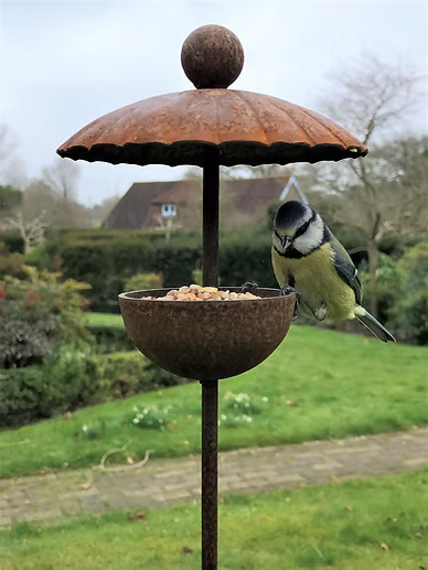Fig Tree Metal Bird Feeders – Handcrafted Rustic Garden Bird Feeders Made in the UK