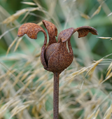 Fig Tree Metal Flowers