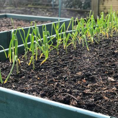 Build-a-Bed Raised Planters