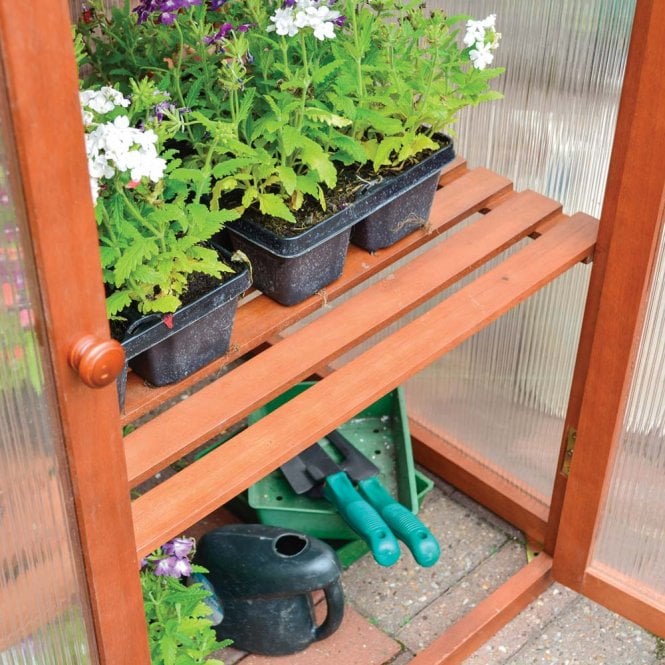 Rowlinson Hardwood Mini Greenhouse – Compact Wooden Garden Growhouse with Shelves