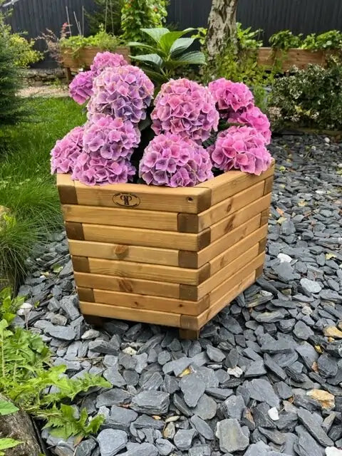 Wooden Planters by Pretty Planters