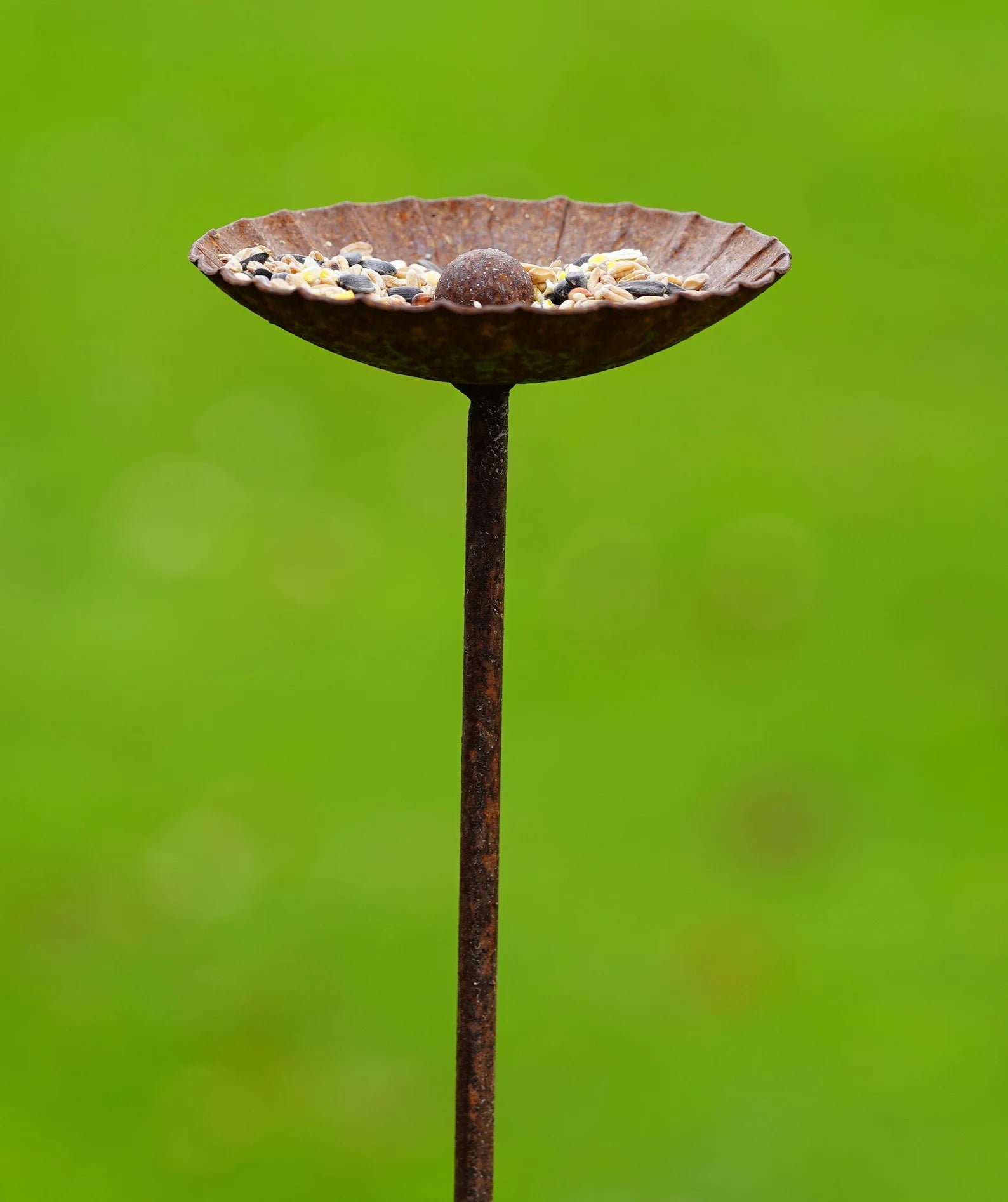 Fig Tree Metal Bird Feeders