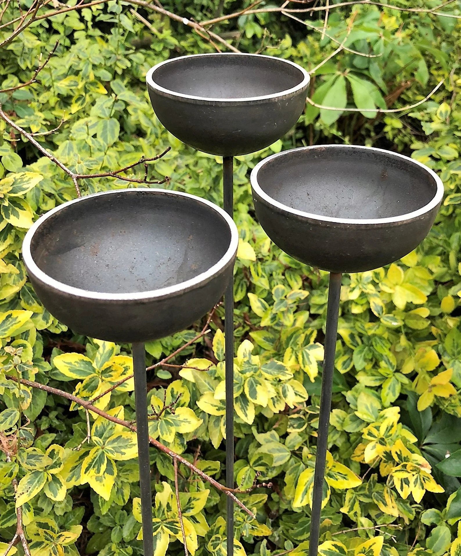 Fig Tree Metal Rain Catchers