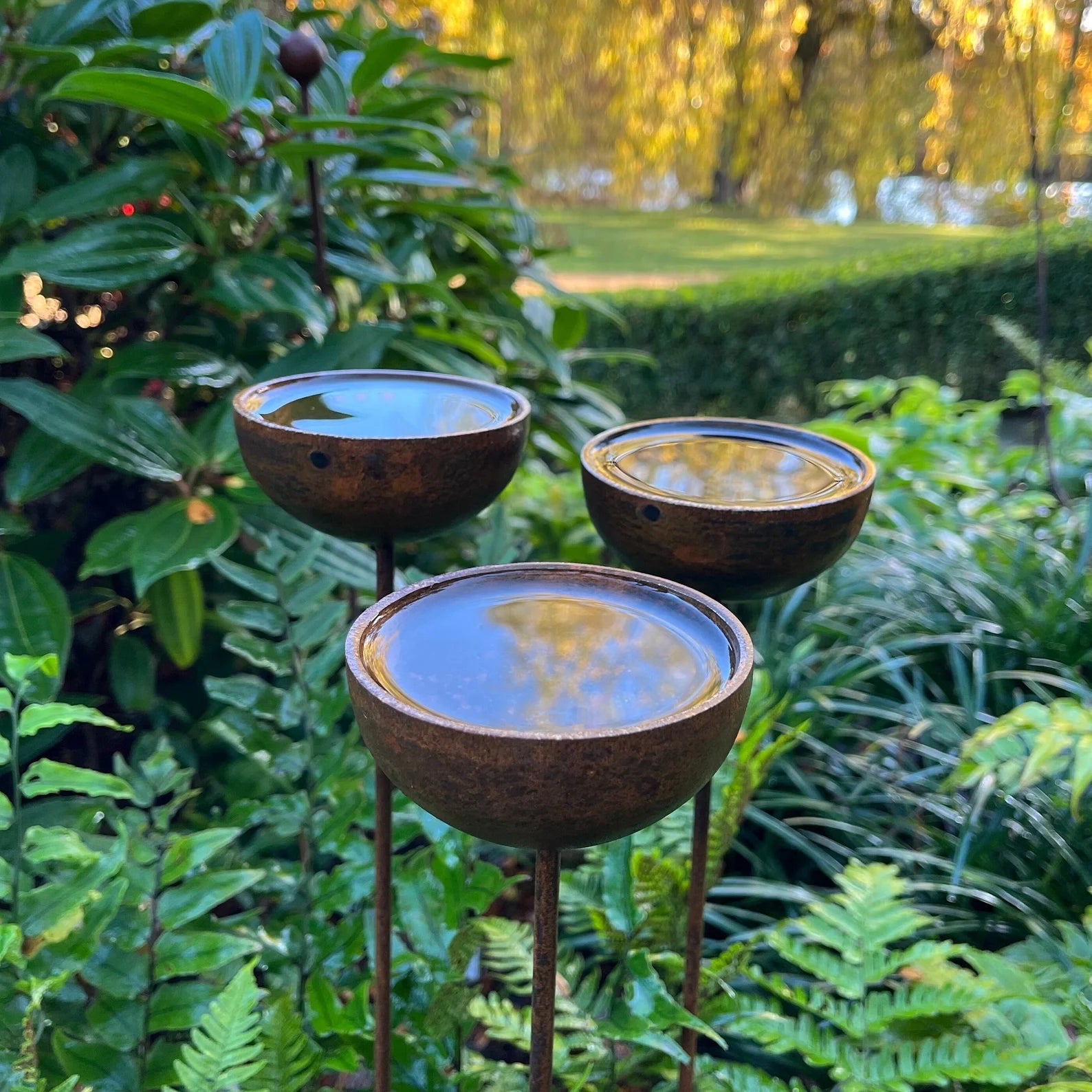 Fig Tree Metal Rain Catchers