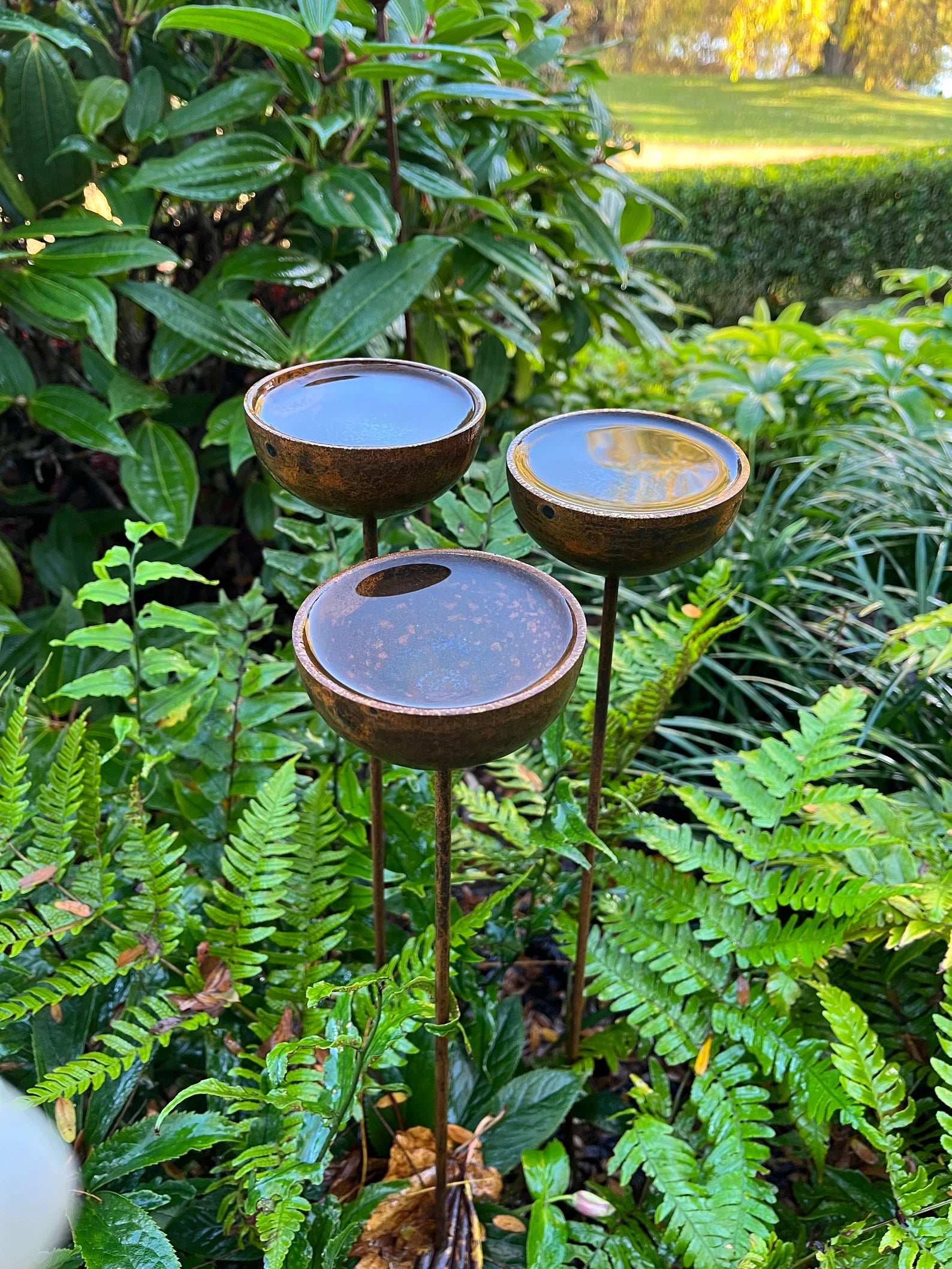 Fig Tree Metal Rain Catchers