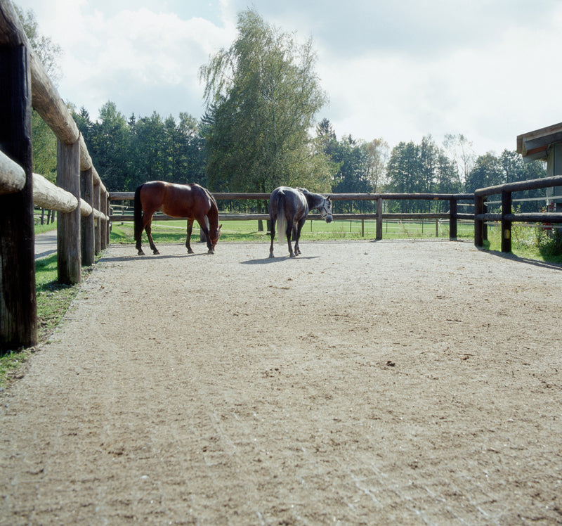 EcoGrid S50 Gravel Grid 50mm – Equestrian Paddock & Yard Stabilisation, Permeable Paving, 20yr Guarantee