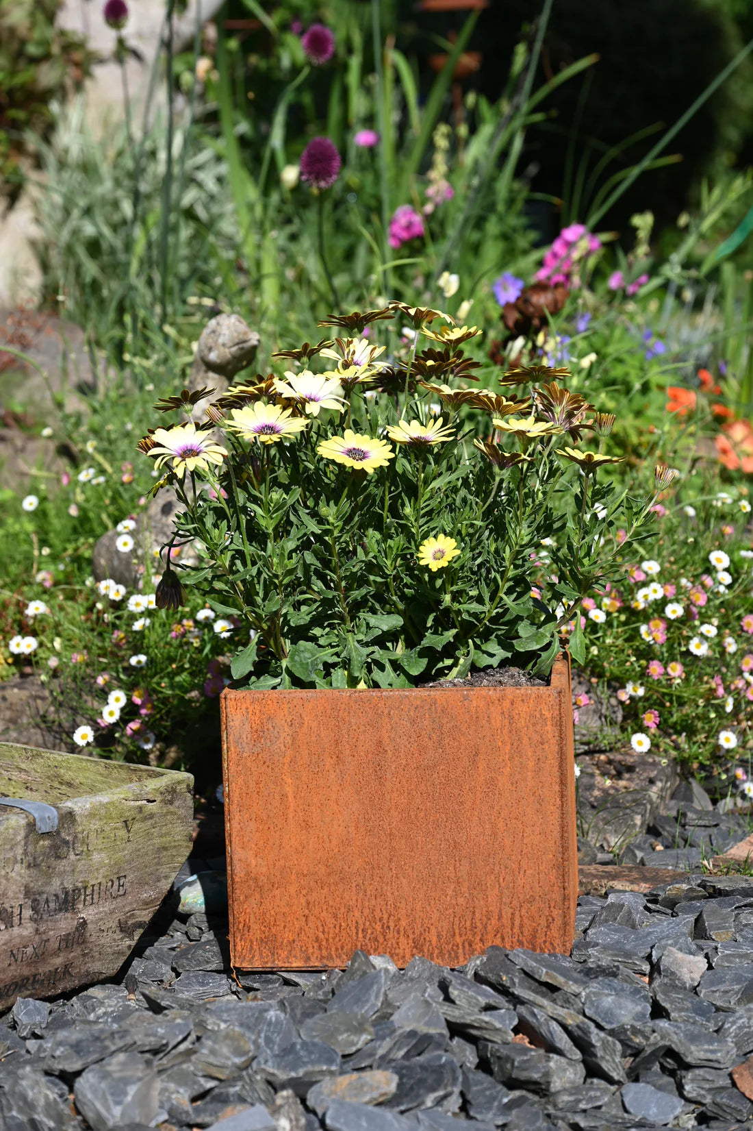 Rust Finish Metal Garden Planters – Rustic Steel Plant Pots (Round & Square, Multiple Sizes)