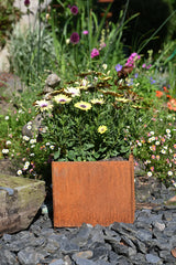 Rust Finish Metal Garden Planters – Rustic Steel Plant Pots (Round & Square, Multiple Sizes)