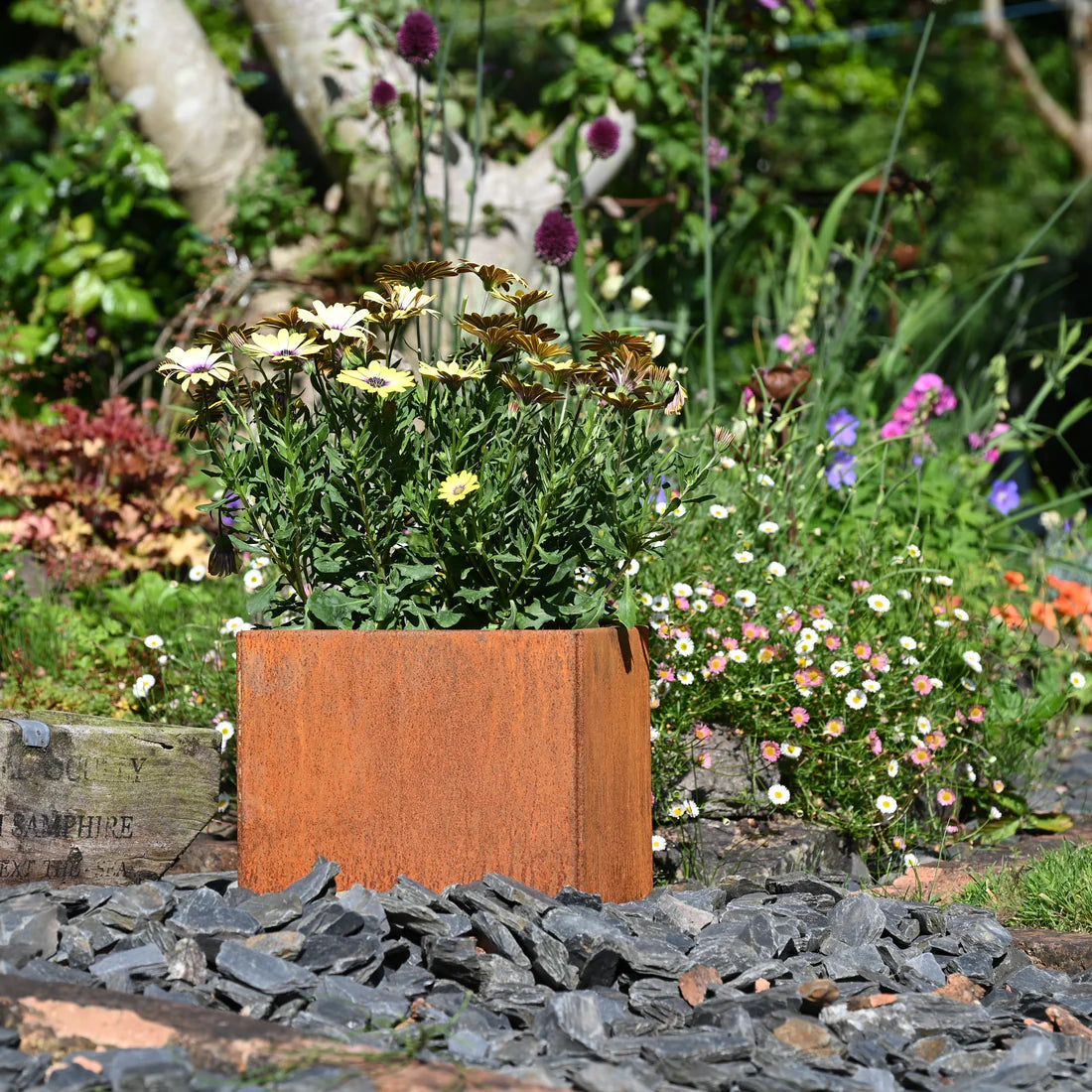 Rust Finish Metal Garden Planters – Rustic Steel Plant Pots (Round & Square, Multiple Sizes)