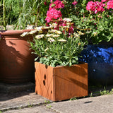 Rust Finish Metal Garden Planters – Rustic Steel Plant Pots (Round & Square, Multiple Sizes)